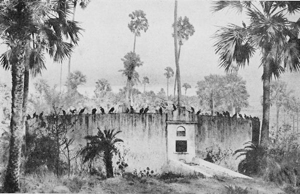 Parsee Tower of Silence, Bombay
